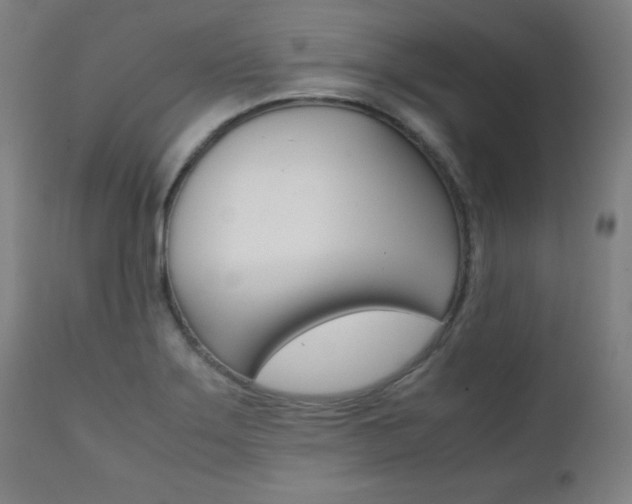 X0000112091275200908041039