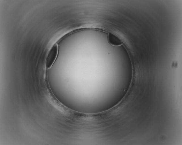 X0000112091276200908041039
