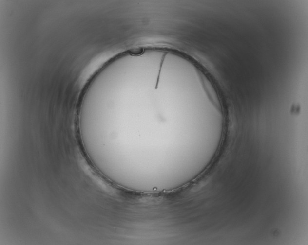 X0000112091277200908041039