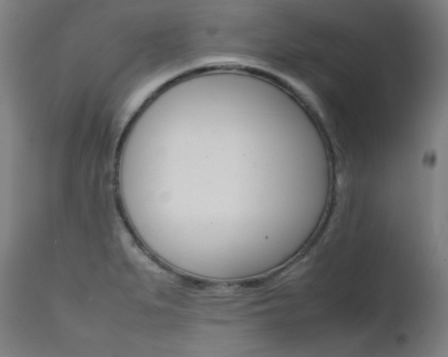 X0000112091279200908041039