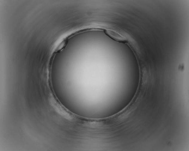 X0000112091280200908041039