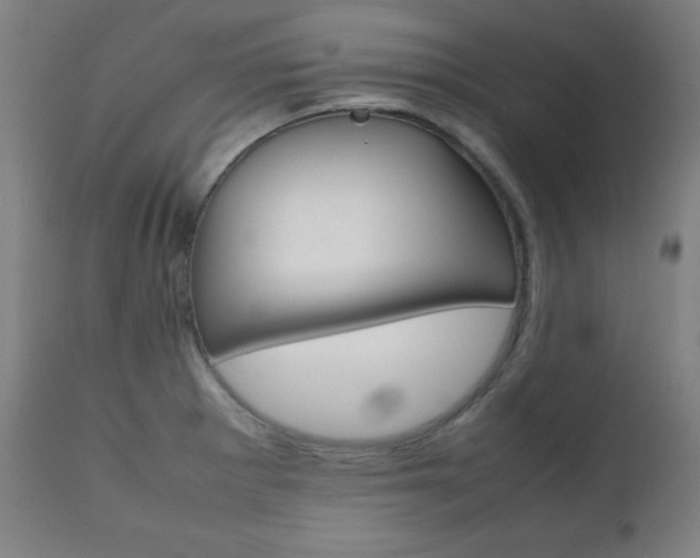 X0000112091281200908041039
