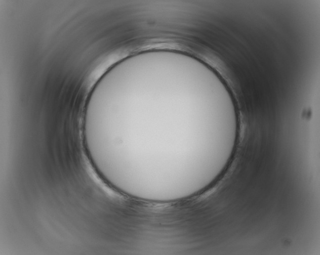 X0000112091282200908041039