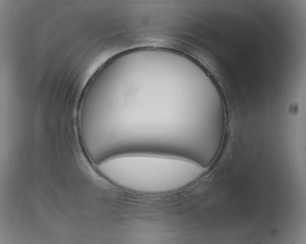 X0000112091283200908041039