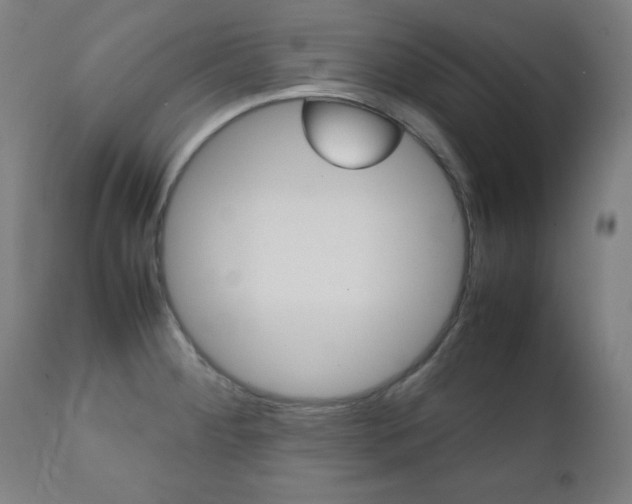 X0000112091284200908041039