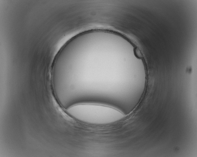 X0000112091287200908041039
