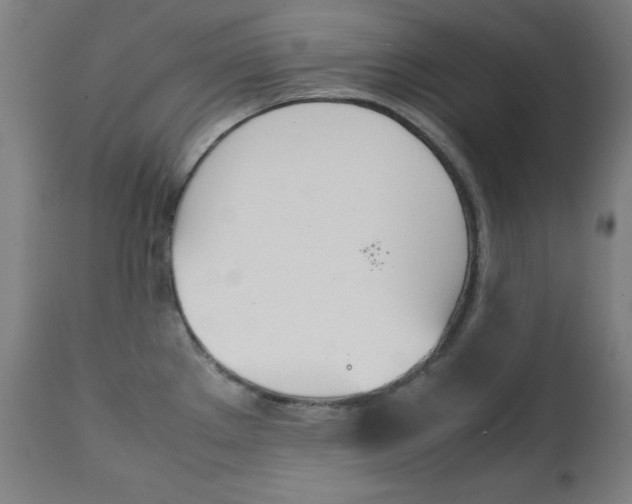 X0000112091289200908041039
