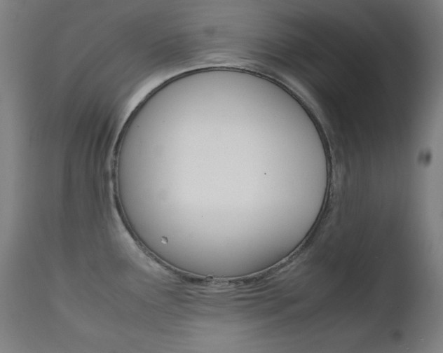 X0000112091291200908041039