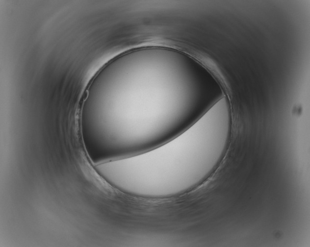 X0000112091292200908041039