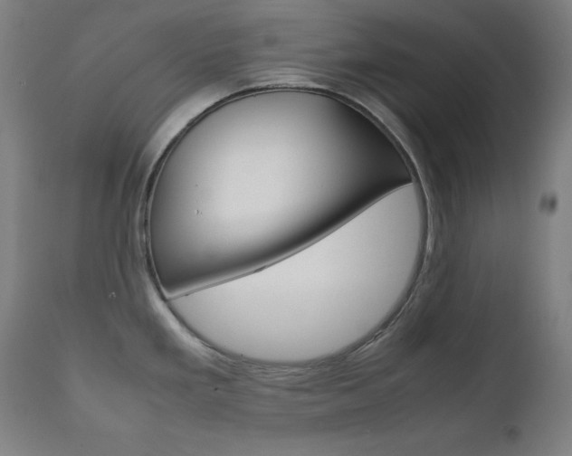 X0000112091293200908041039