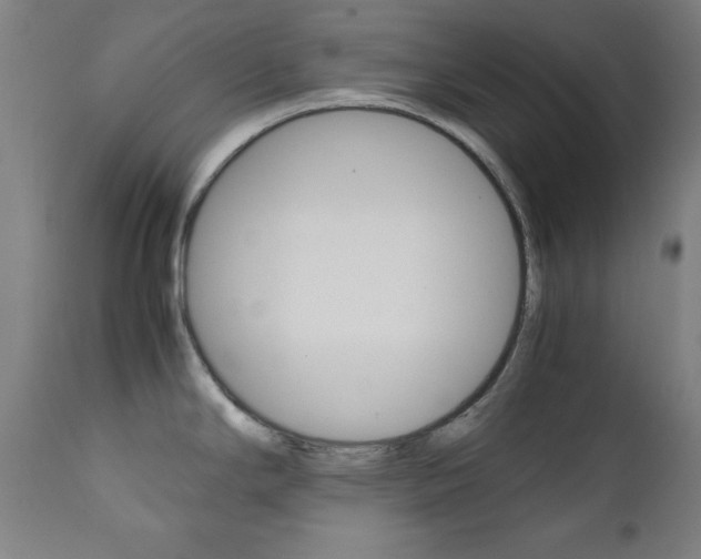 X0000112091294200908041039
