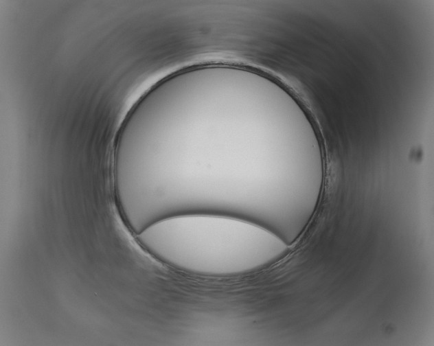 X0000112091295200908041039