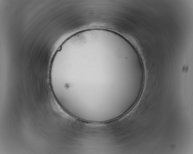 X0000112091296200908041039