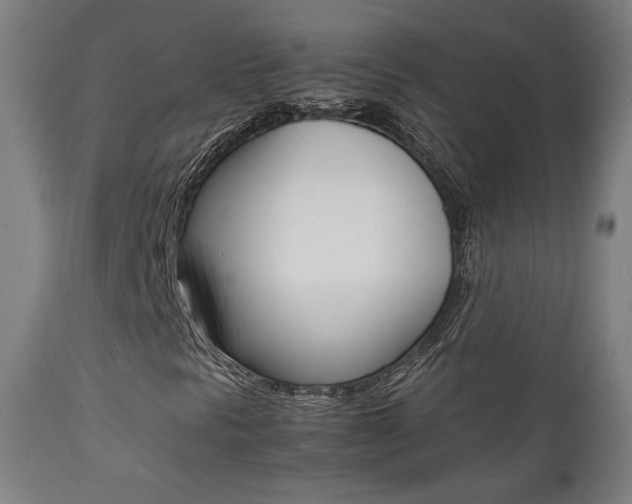 X0000112091297200908041038