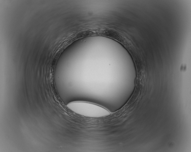 X0000112091298200908041038