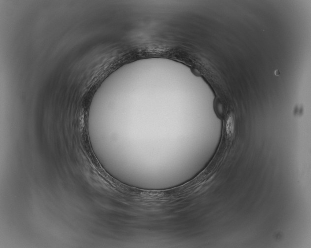X0000112091299200908041038