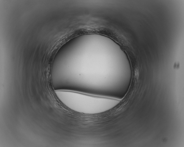 X0000112091300200908041038