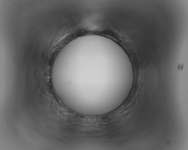 X0000112091301200908041038