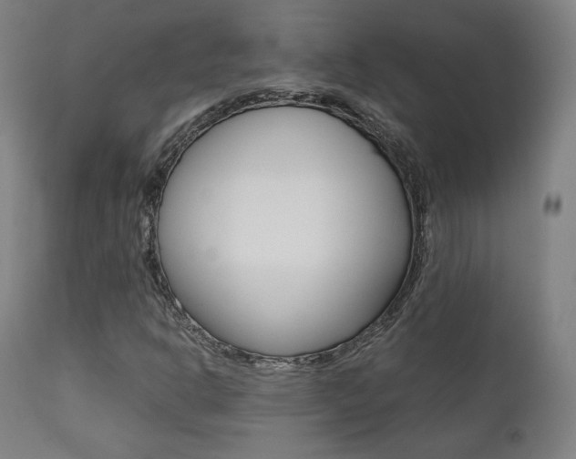 X0000112091302200908041038