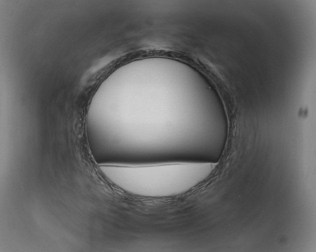 X0000112091303200908041038
