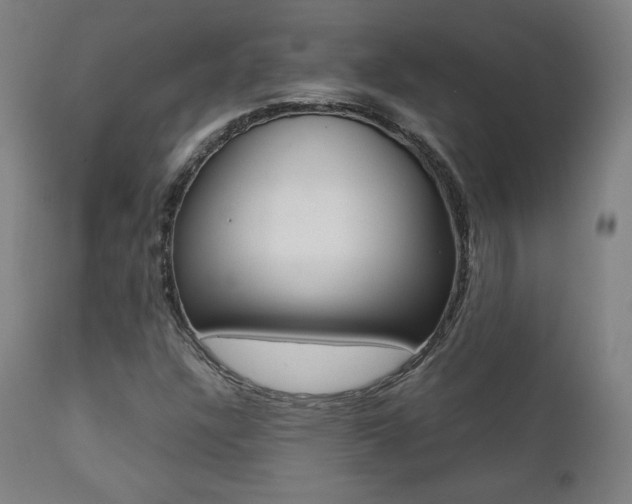 X0000112091304200908041038