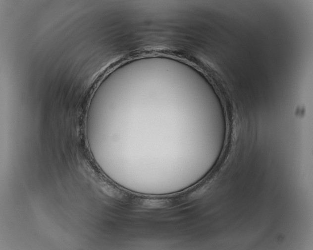 X0000112091305200908041038