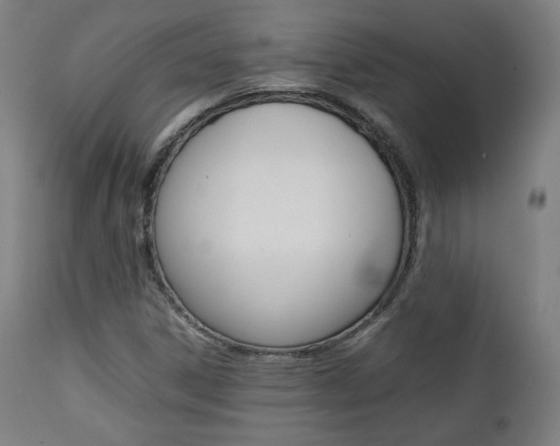 X0000112091306200908041038