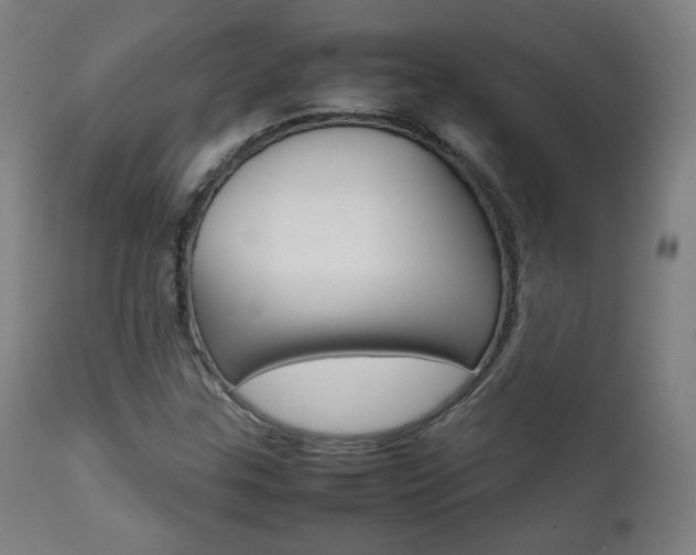 X0000112091307200908041038