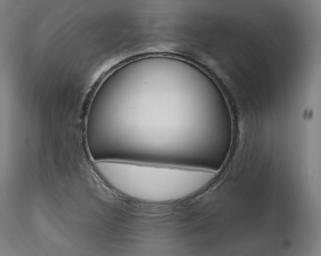 X0000112091308200908041038
