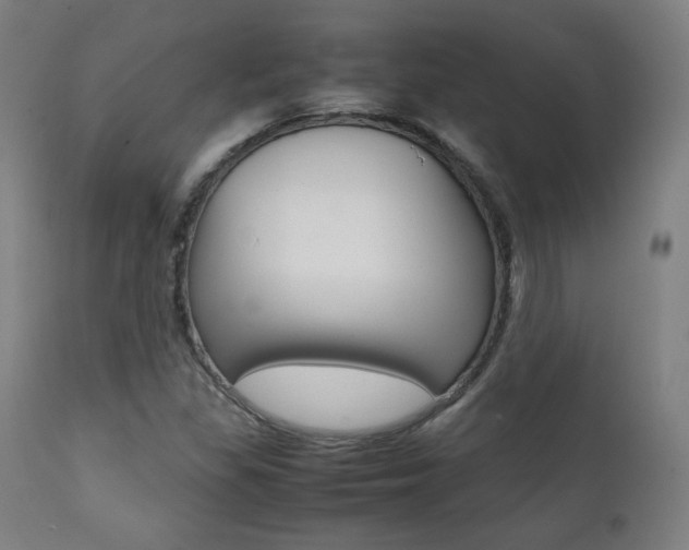 X0000112091309200908041038