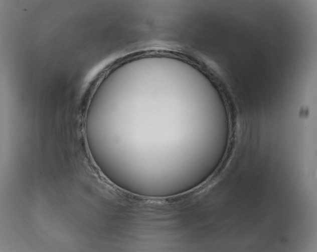 X0000112091310200908041038