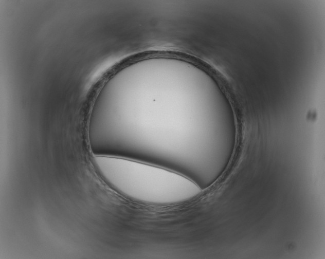 X0000112091311200908041038