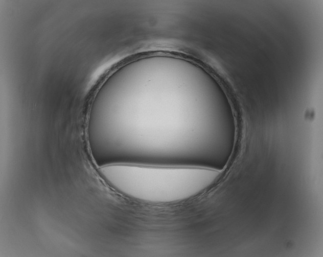 X0000112091312200908041038