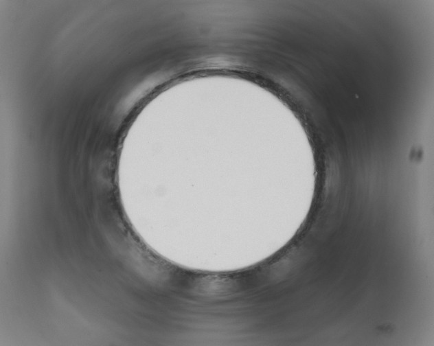 X0000112091314200908041038