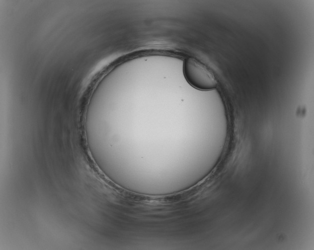 X0000112091315200908041038