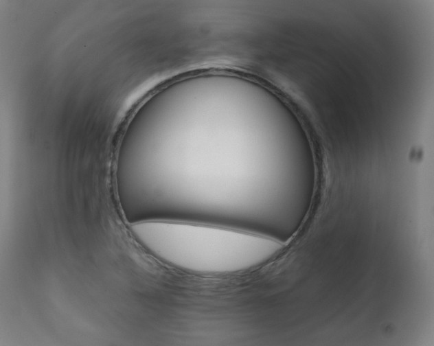 X0000112091316200908041039