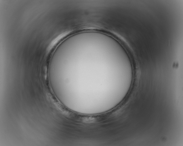 X0000112091317200908041039