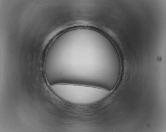 X0000112091318200908041039