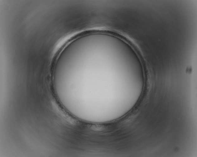 X0000112091319200908041039