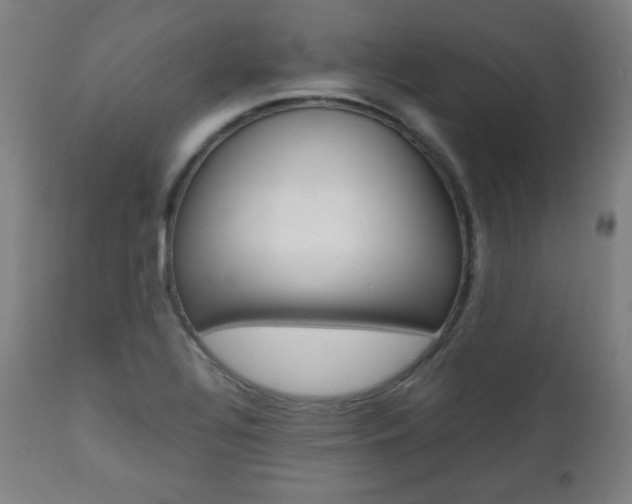 X0000112091320200908041039