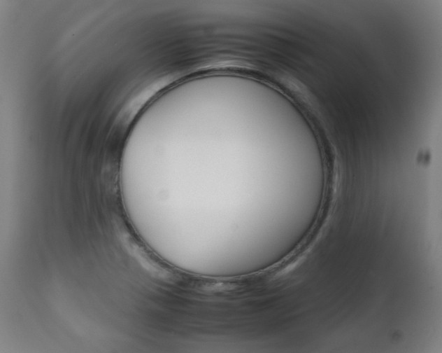 X0000112091321200908041039