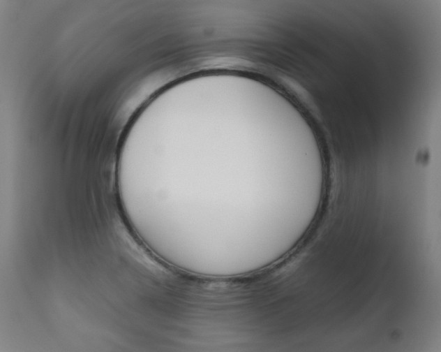 X0000112091322200908041039