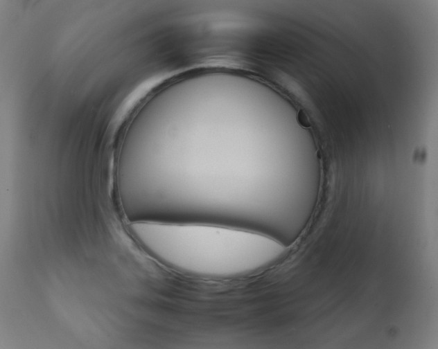 X0000112091323200908041039
