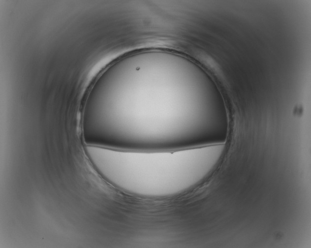 X0000112091324200908041039