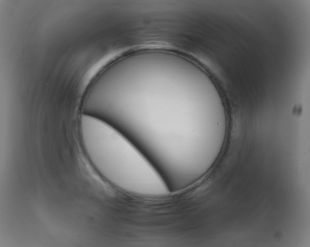 X0000112091325200908041039