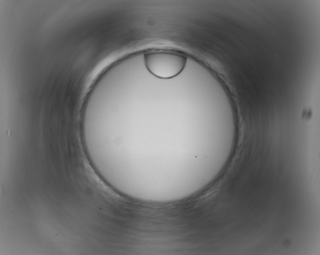X0000112091326200908041039