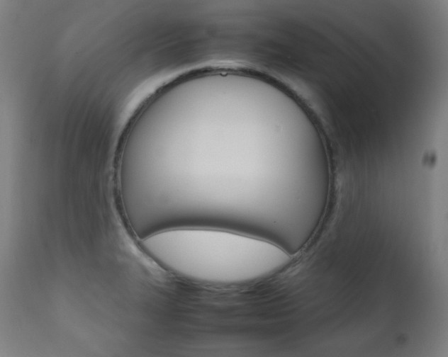 X0000112091327200908041039
