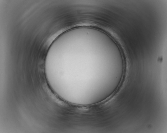 X0000112091329200908041039