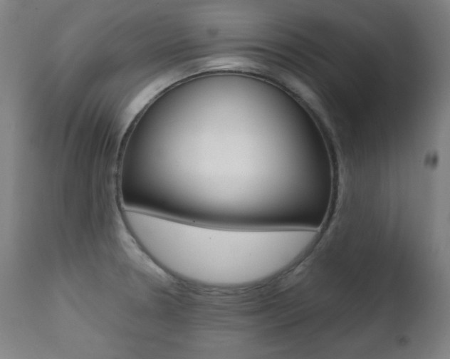 X0000112091330200908041039