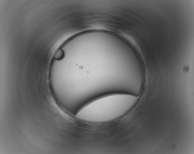 X0000112091331200908041039
